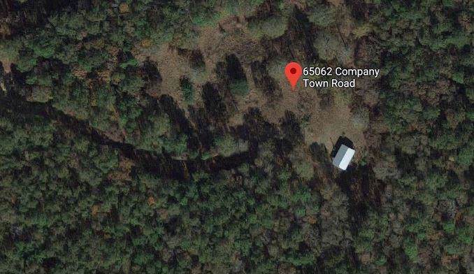 65062 Company Town Road - Photo 1