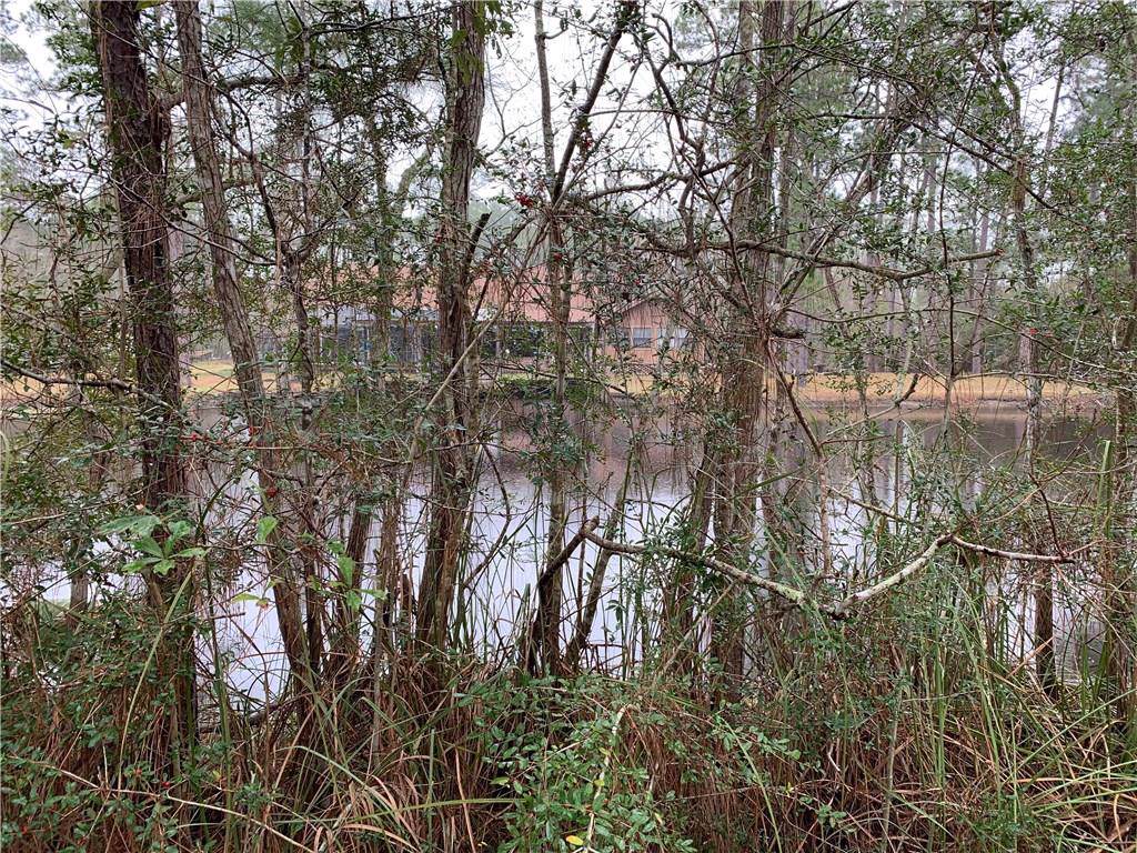 Cypress Bayou Loop - Photo 1
