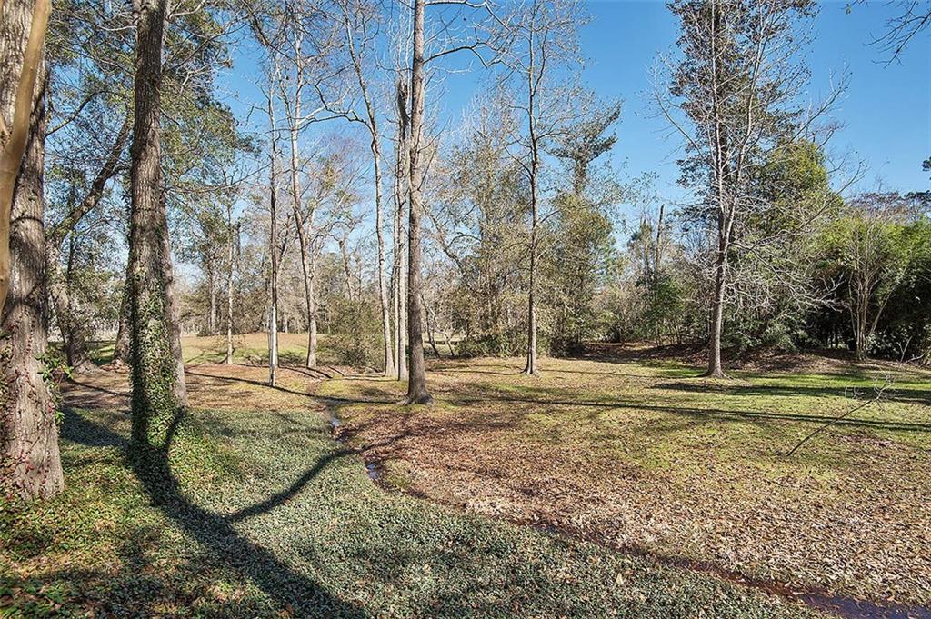 104 Blackburn Place - Photo 1