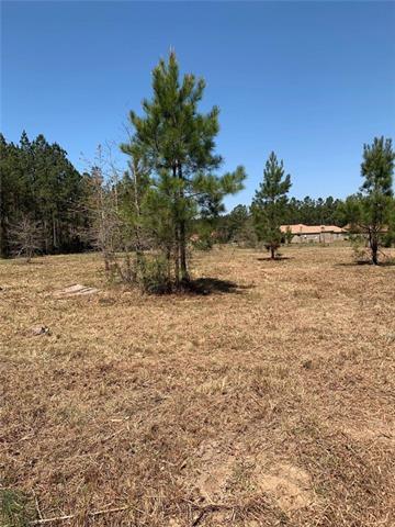 0 Corner Of Bethel Rd And Petit Rd Road - Photo 1