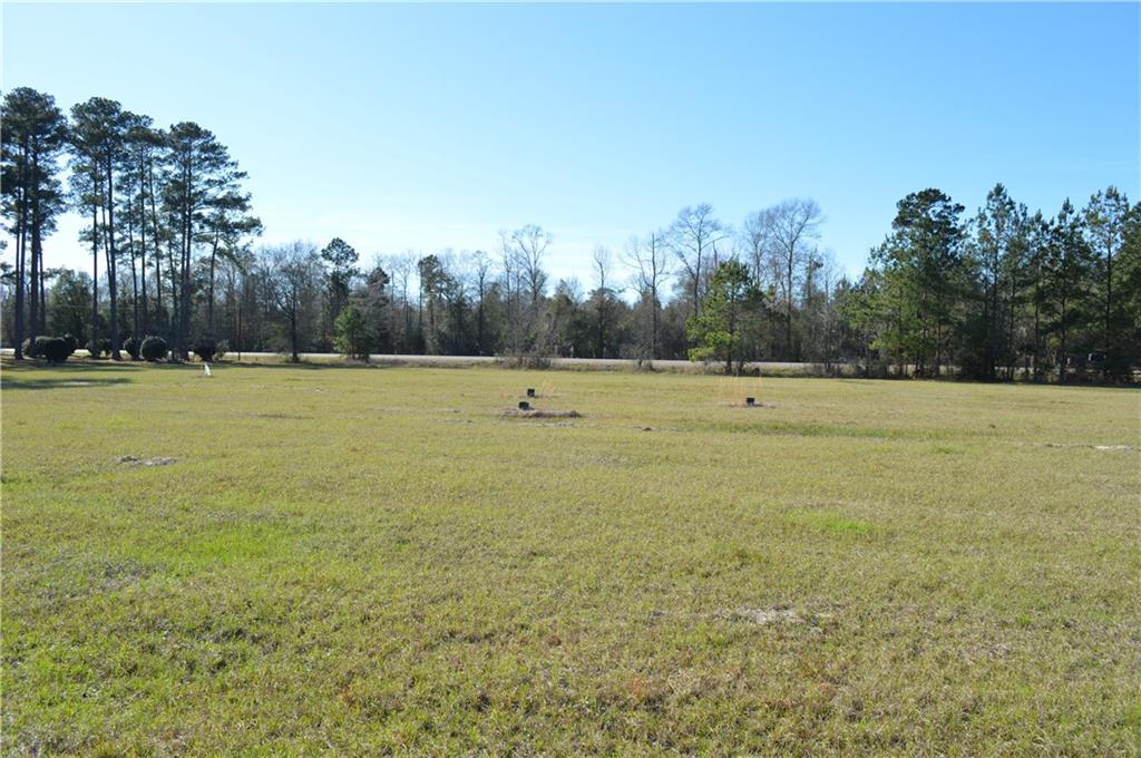 26068 Hwy 25 Highway - Photo 1