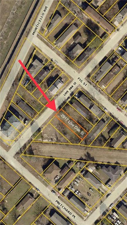 2917 Live Oak Street - Photo 1