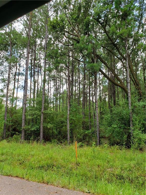 B-3 Bob Levy Road - Photo 1