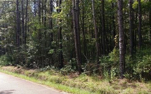 Parcels B1 - B4 Bob Levy Road - Photo 1