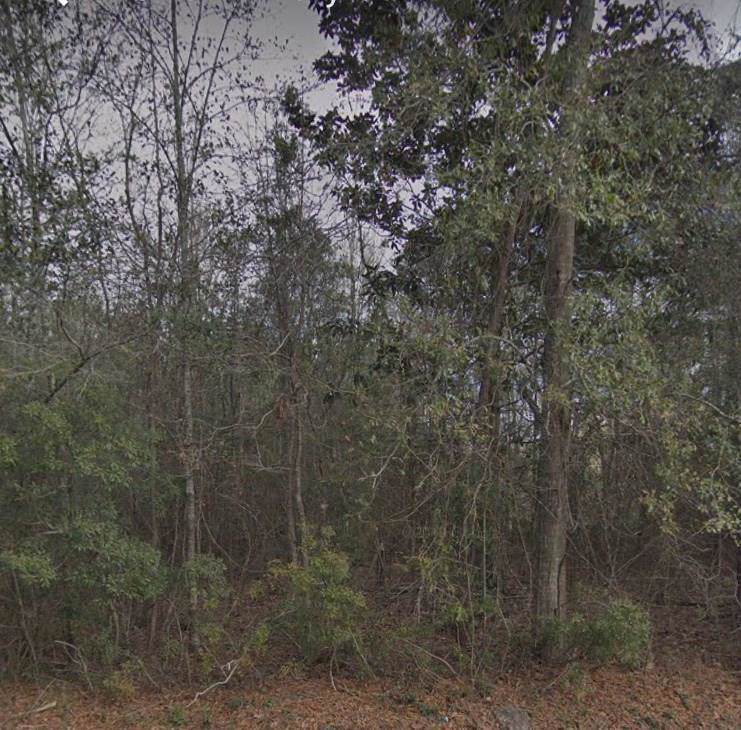 LOT4 SQ4 Hickory Street - Photo 1