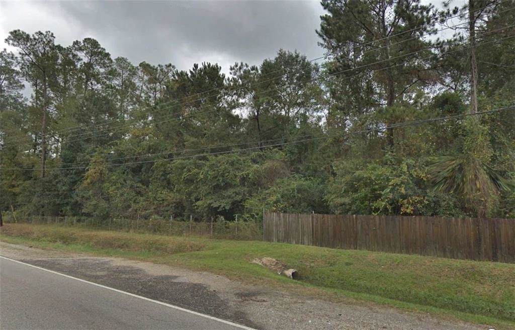 30568 Highway 190 Highway - Photo 1