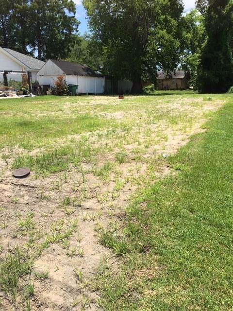 2805 Barataria Boulevard - Photo 1