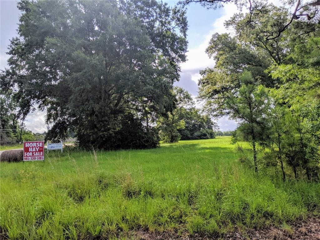 Hwy 40 - Photo 1