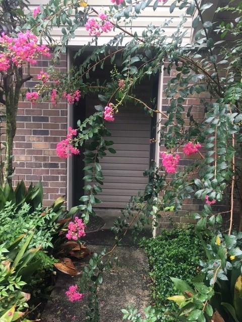 164 Sandra Del Mar Street - Photo 1