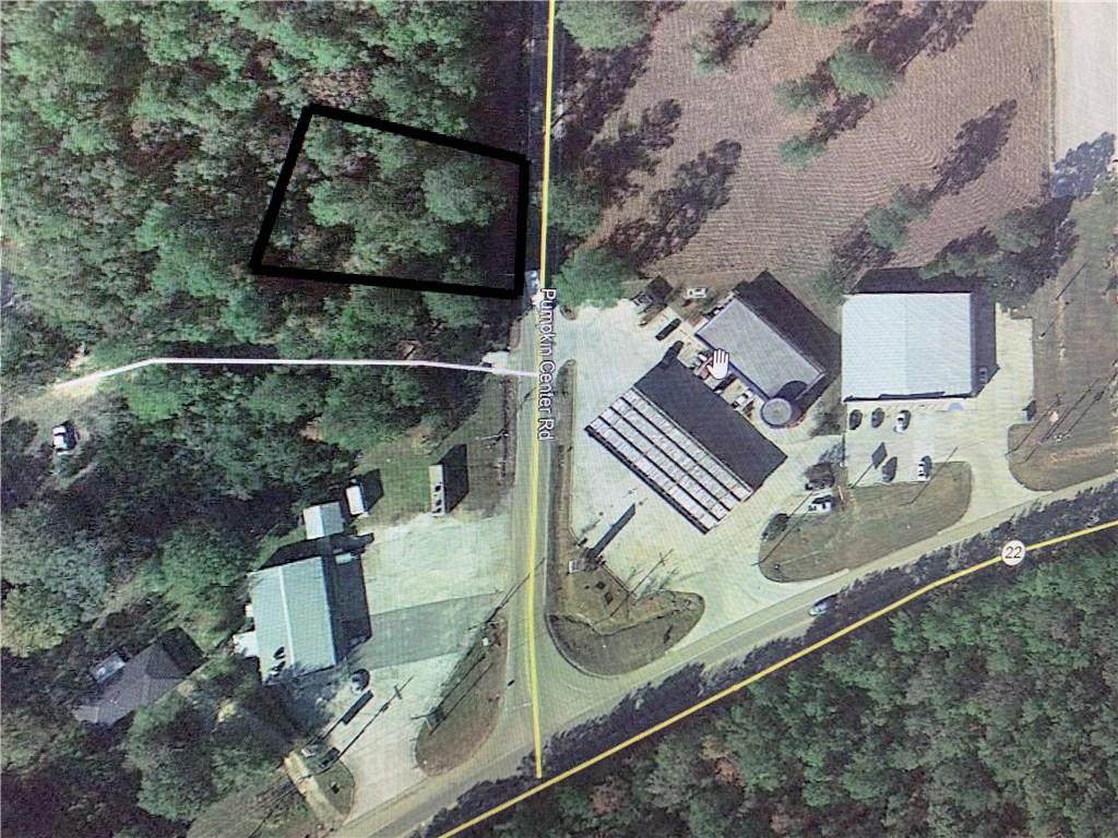 Pumpkin Center Road - Photo 1