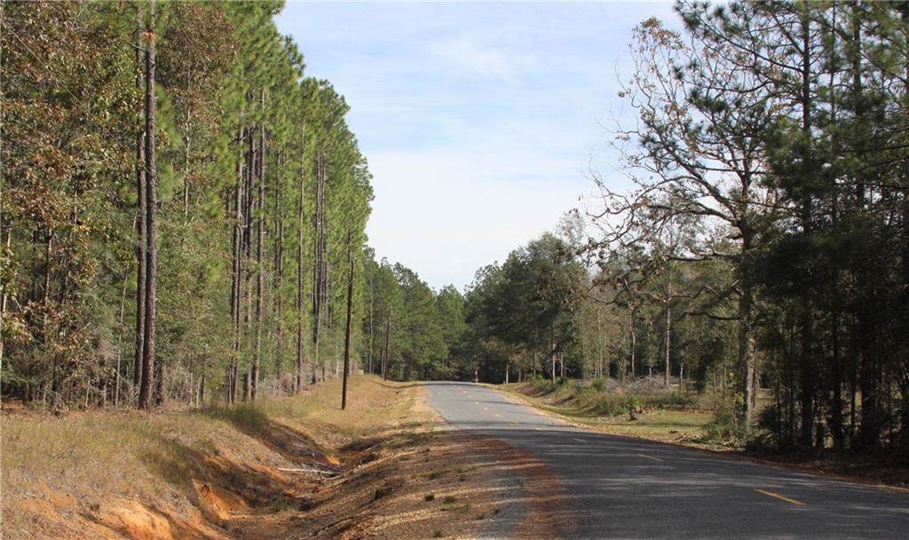 Will Houlton Road - Photo 1
