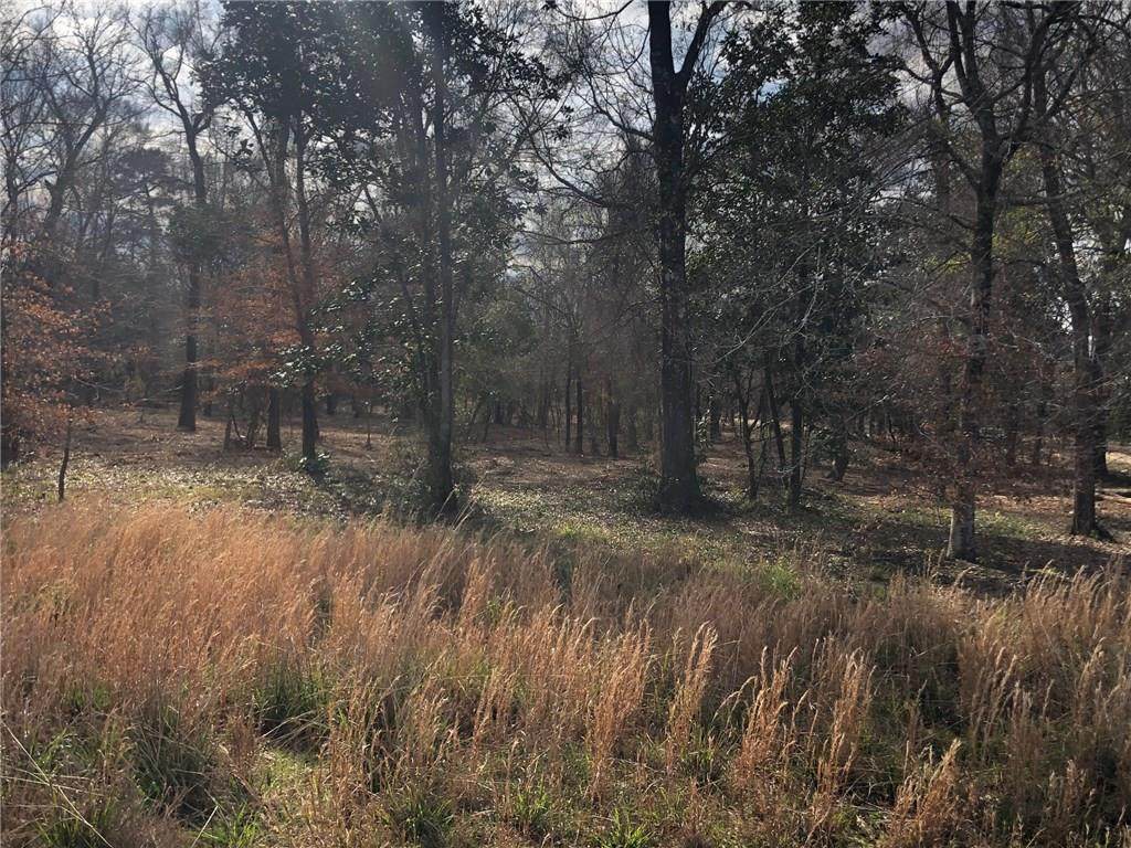 LOT 29A Holden's Run Road - Photo 1 LOT 29A Holden's Run Road - Photo 1