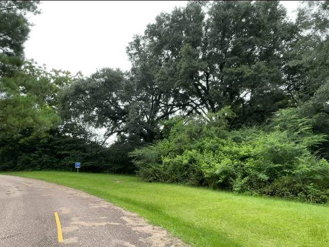 Leonard F Husser Road - Photo 1