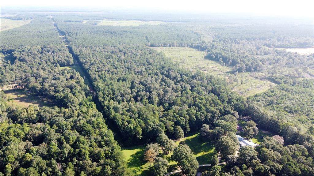Pine Acres Road - Photo 1