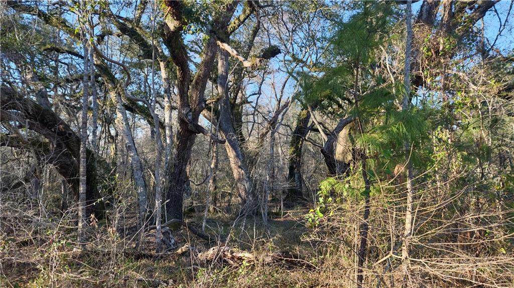 534 Hwy 1085 - Photo 1