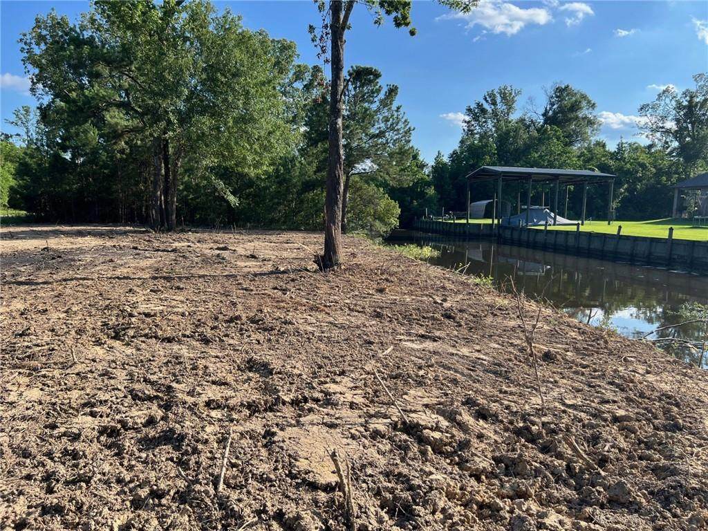 LOT 56 Swamp Drive - Photo 1