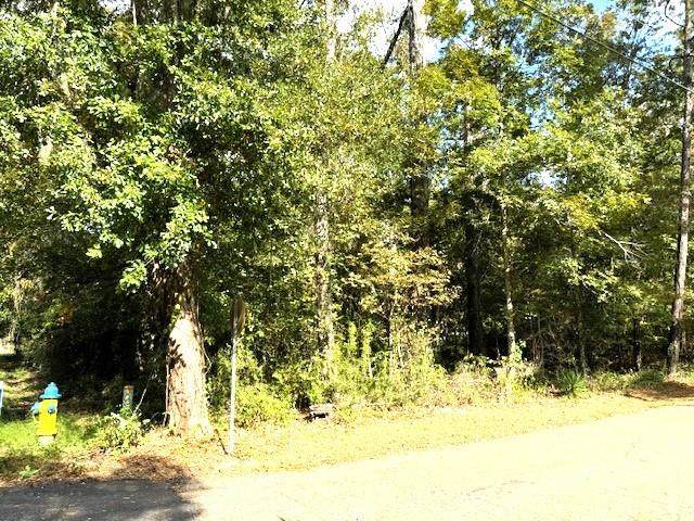 551 Colbert Street - Photo 1