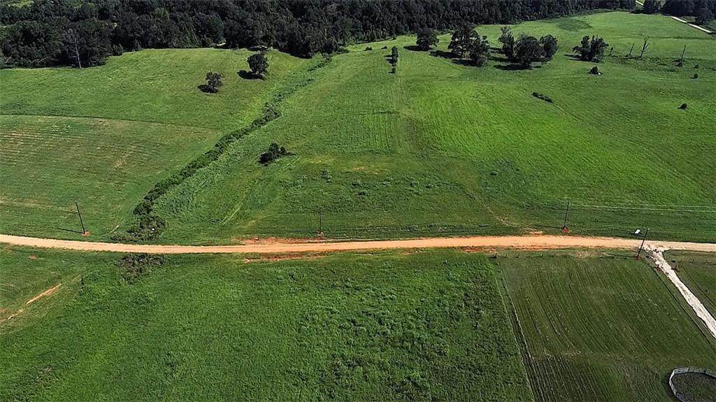 Lot D-1 Kippy Lane - Photo 1