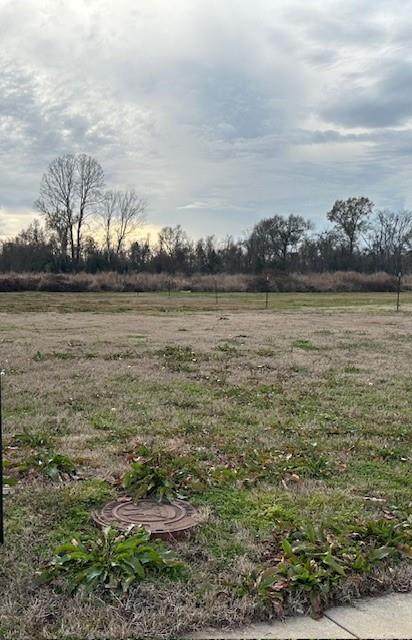 1321 Bonaire Trace - Photo 1