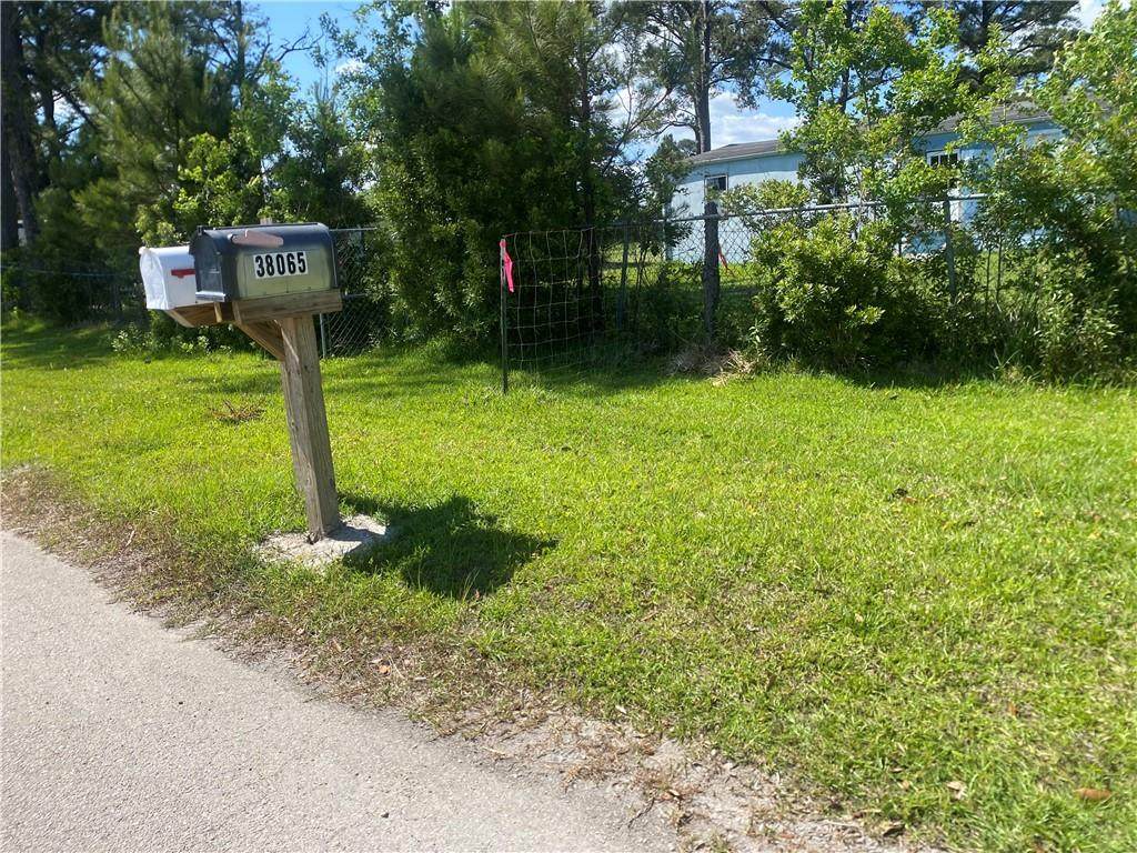 38065 Fricke Road - Photo 1