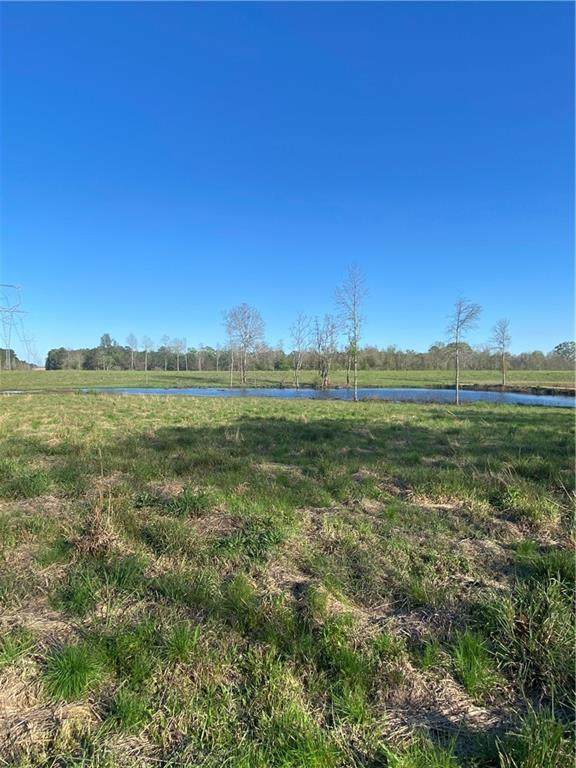 TBD Ruth Holton Road - Photo 1