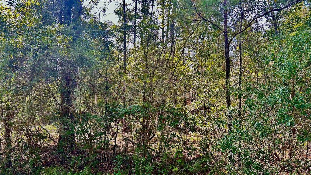  Yorktown Drive - Photo 1