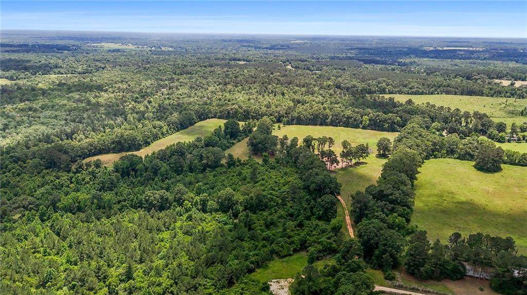 38090 Emmett Carter Road - Photo 1