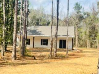 30269 Cowart Bush Road - Photo 1