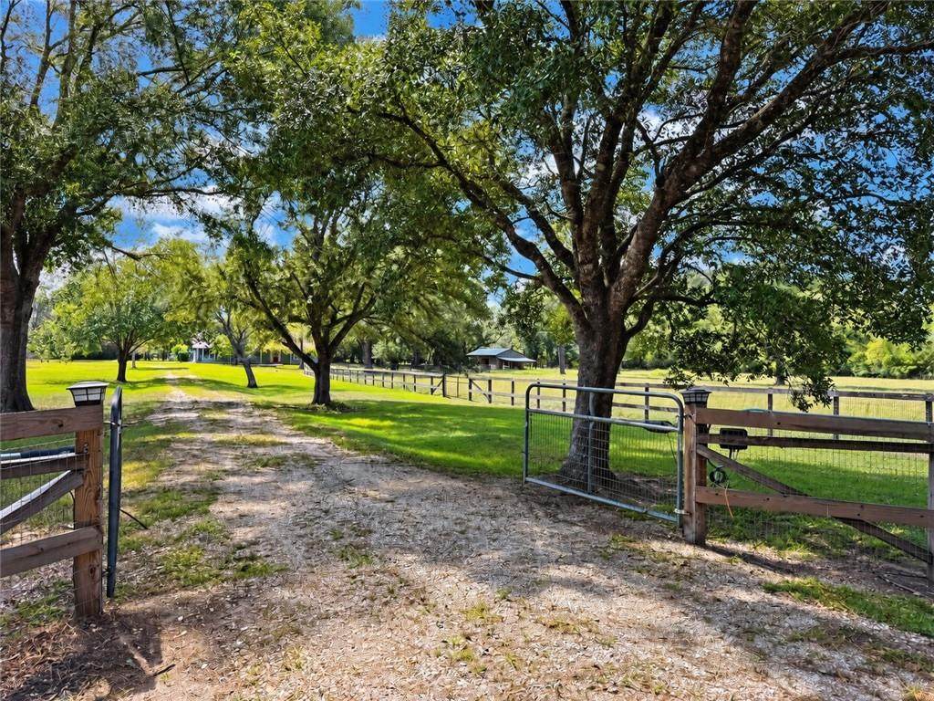 https://bt-photos.global.ssl.fastly.net/neworleans/orig_boomver_4_2550155-2.jpg