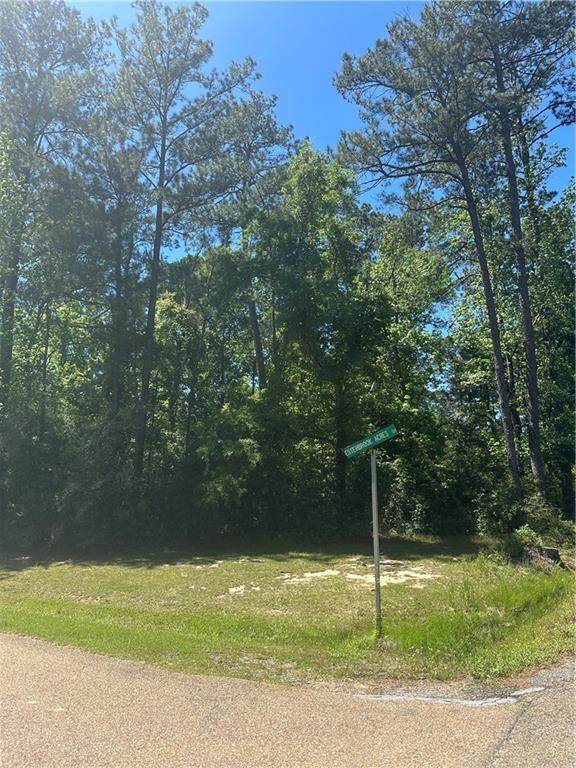  Esterbrook Acres Drive - Photo 1