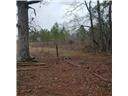 71939 1054 Highway - Photo 3