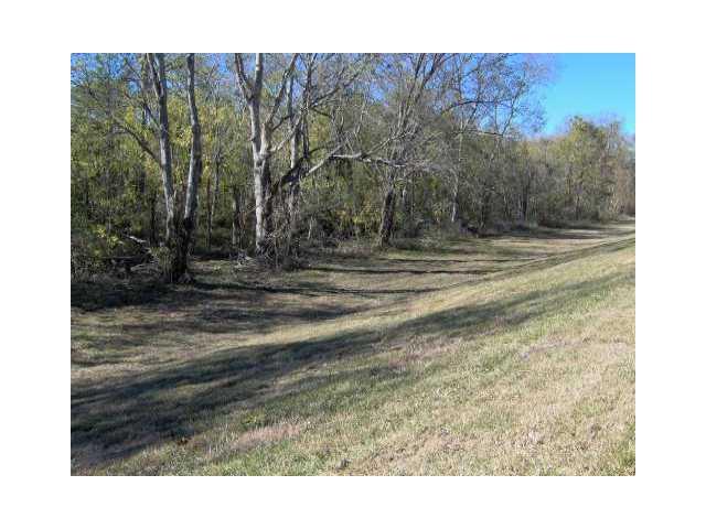 Miss River Near Mi 133 (Lot 6 Elvina Plantation) - Photo 1
