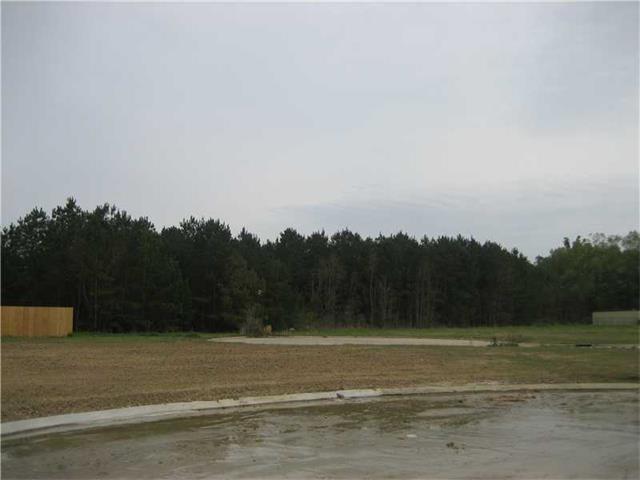 Veteran's Avenue - Photo 1