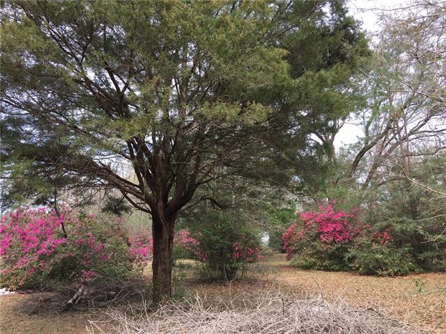 30152 Titus Smith Road - Photo 1
