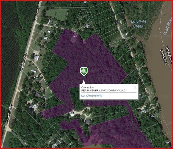 Lot 12 West Soggy Bottom Road - Photo 1