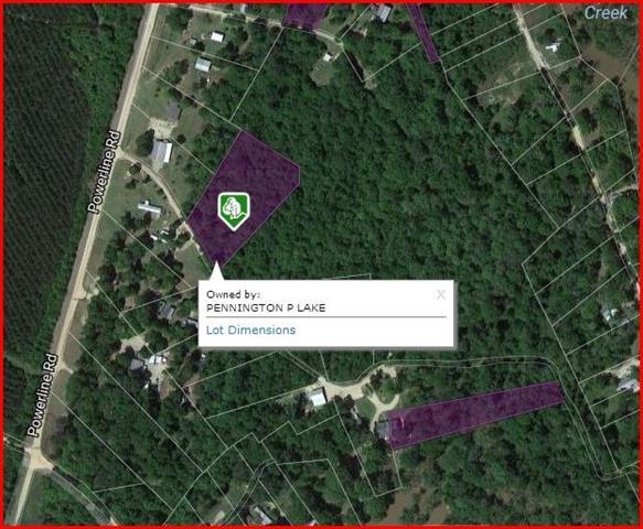 Lot 16 Turkey Pine Road - Photo 1