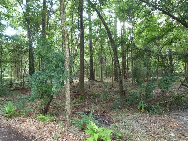 157 Hwy 1077 Highway - Photo 1