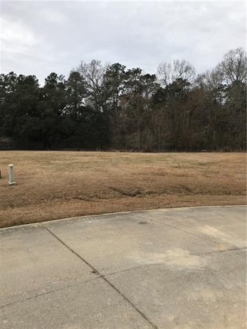 27 Village Oaks Boulevard - Photo 1