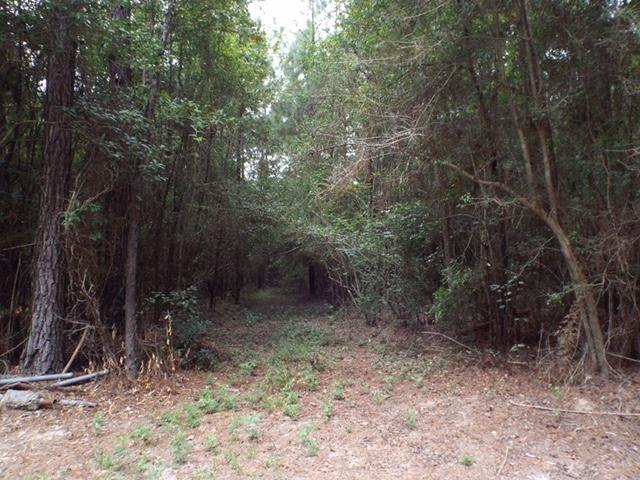Robinson Road - Photo 1