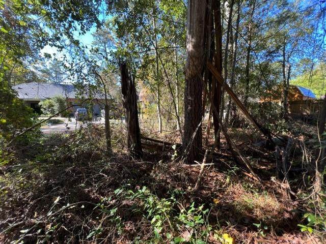 LOT 14,16 & 18 Calhoun Street - Photo 1