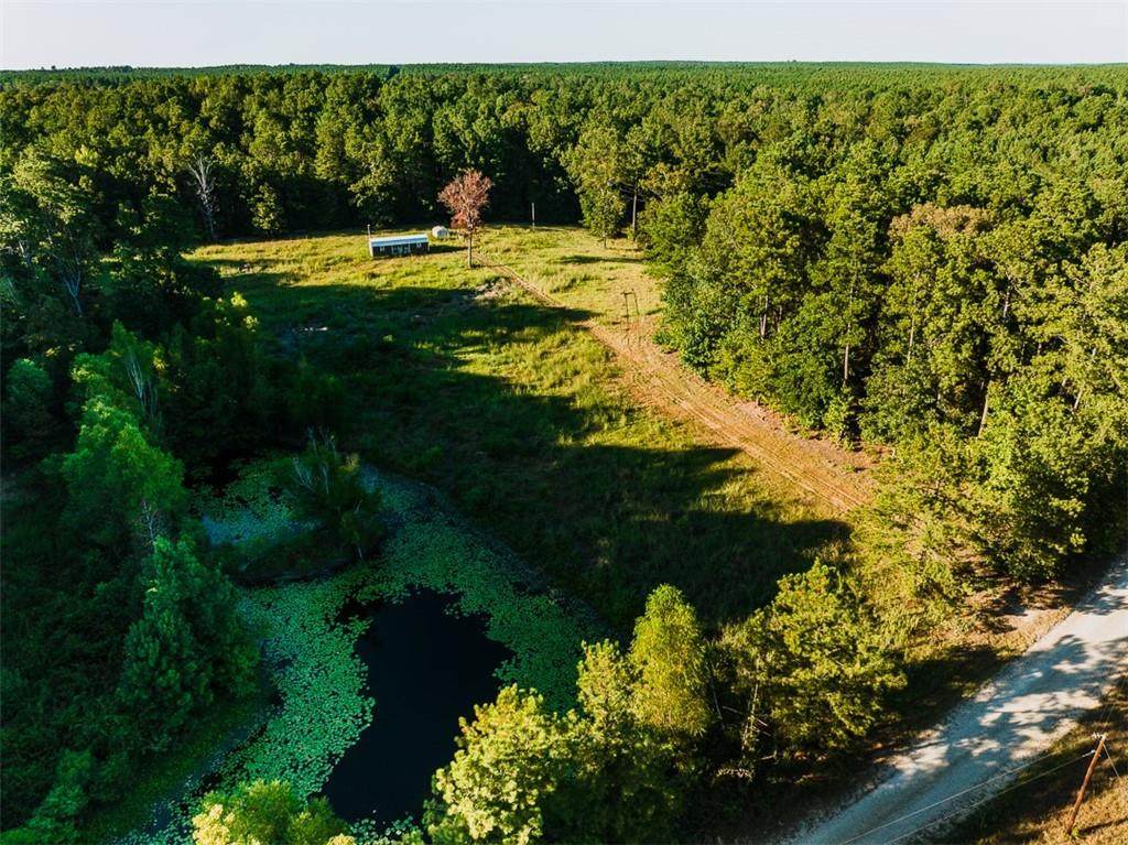 141 Buford Lashley Road - Photo 1