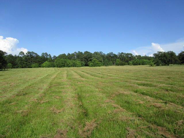 0 Fielder Lane - Photo 1