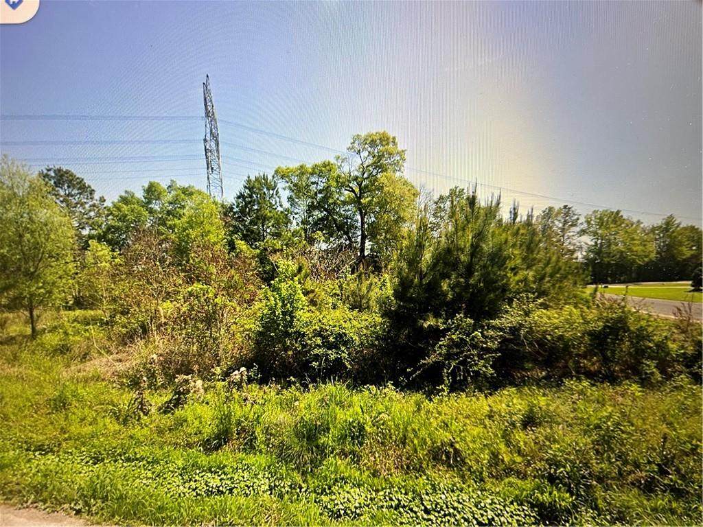 33870 Perkins Crossing Road - Photo 1