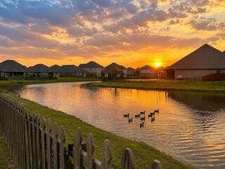 https://bt-photos.global.ssl.fastly.net/neworleans/orig_boomver_3_2567602-2.jpg