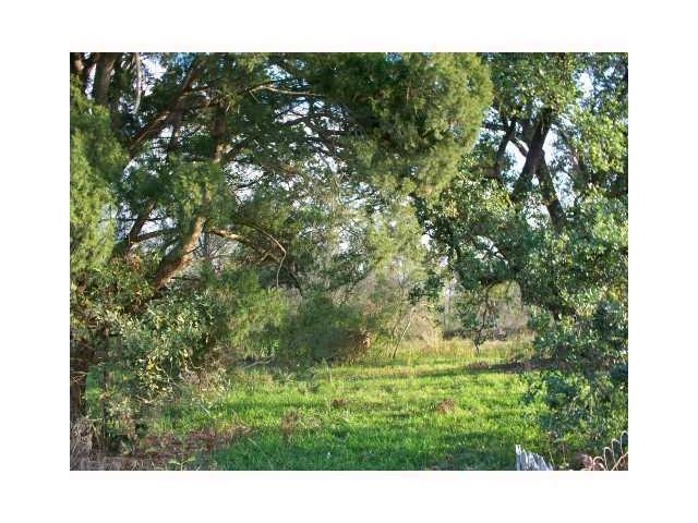 3183 River Road Highway - Photo 1