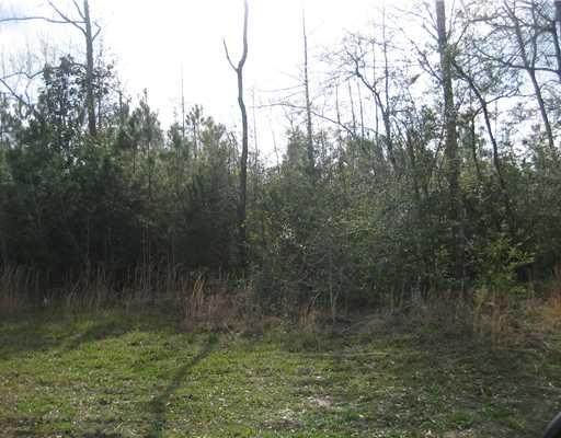  Strader Road - Photo 1