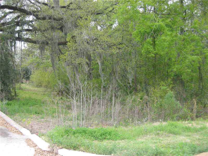 1308 J.W. Davis Road - Photo 1