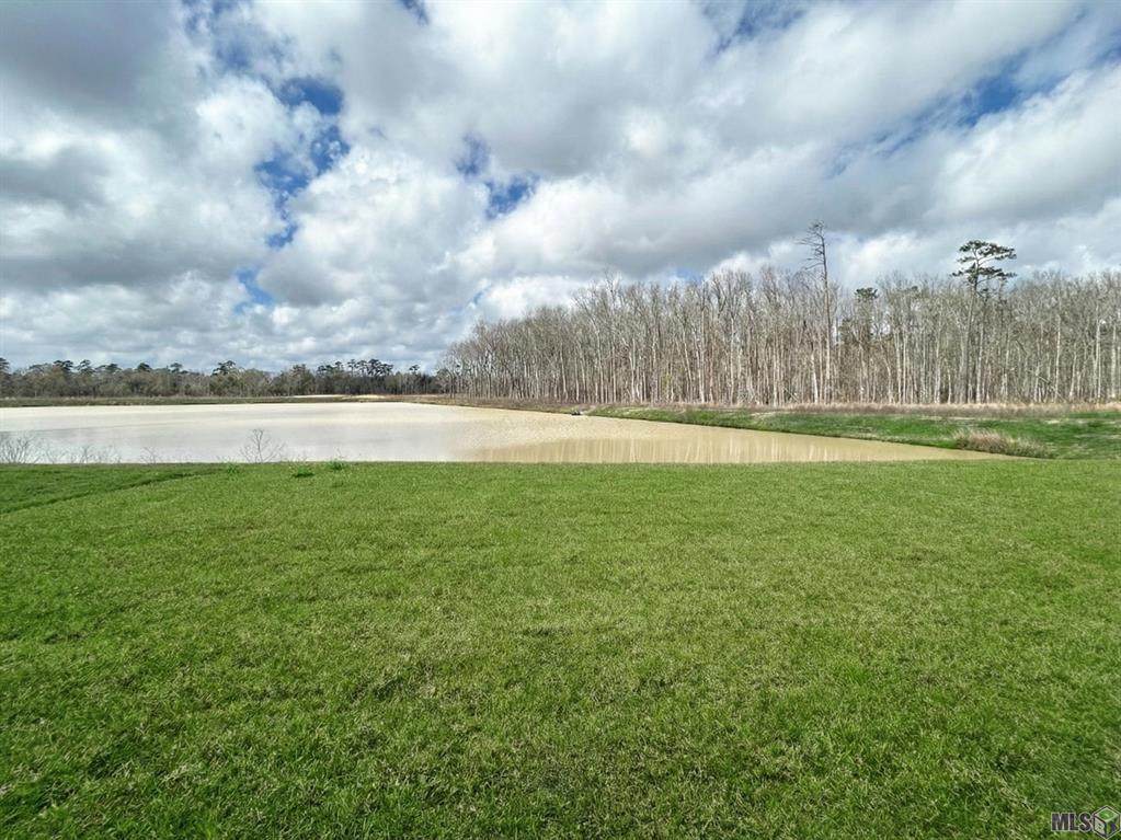39413 Fairhope Drive - Photo 1