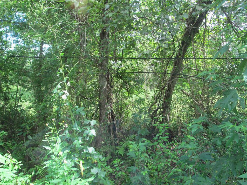 Delacroix Road - Photo 1 Delacroix Road - Photo 1