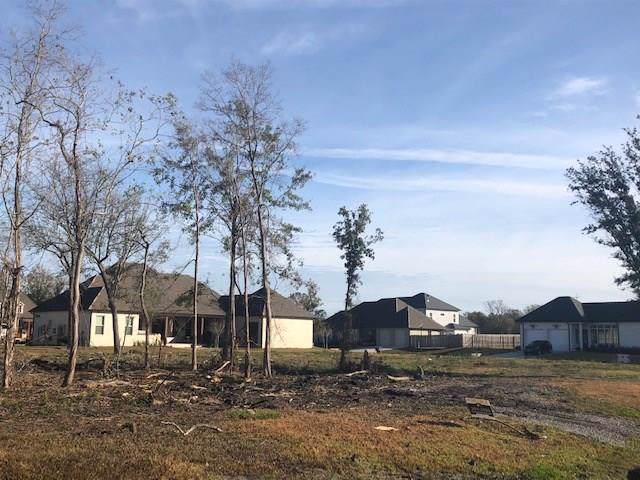 Bald Eagle Drive - Photo 1